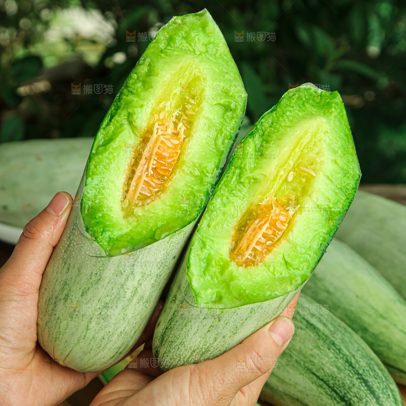 羊角蜜甜瓜