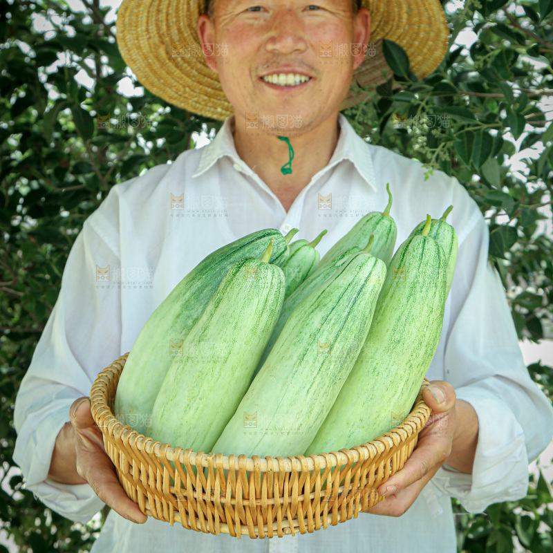 羊角蜜甜瓜