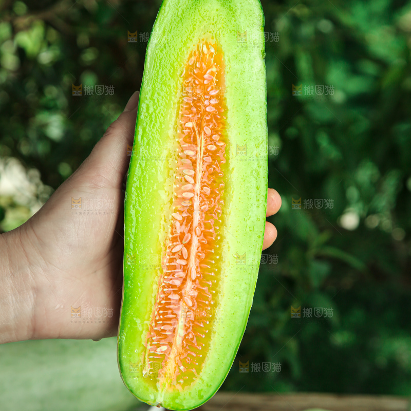 羊角蜜甜瓜