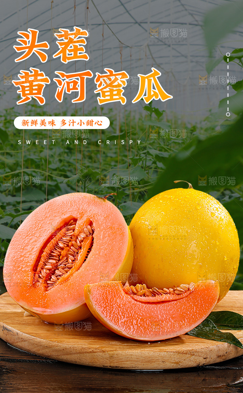 黄河蜜瓜详情页