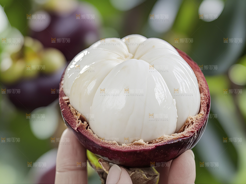 山竹