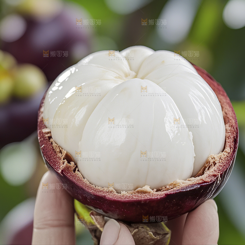 山竹