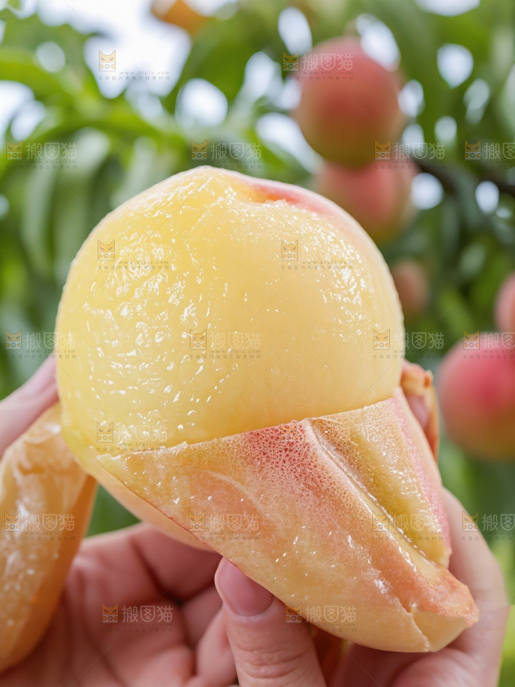 水蜜桃