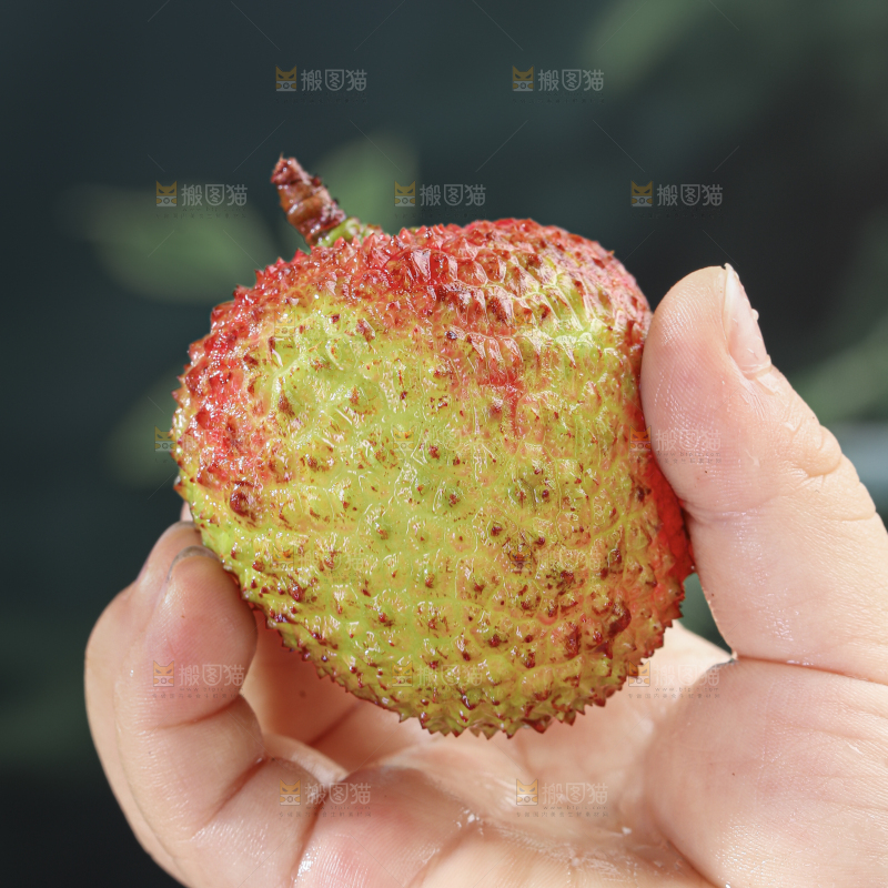 妃子笑荔枝