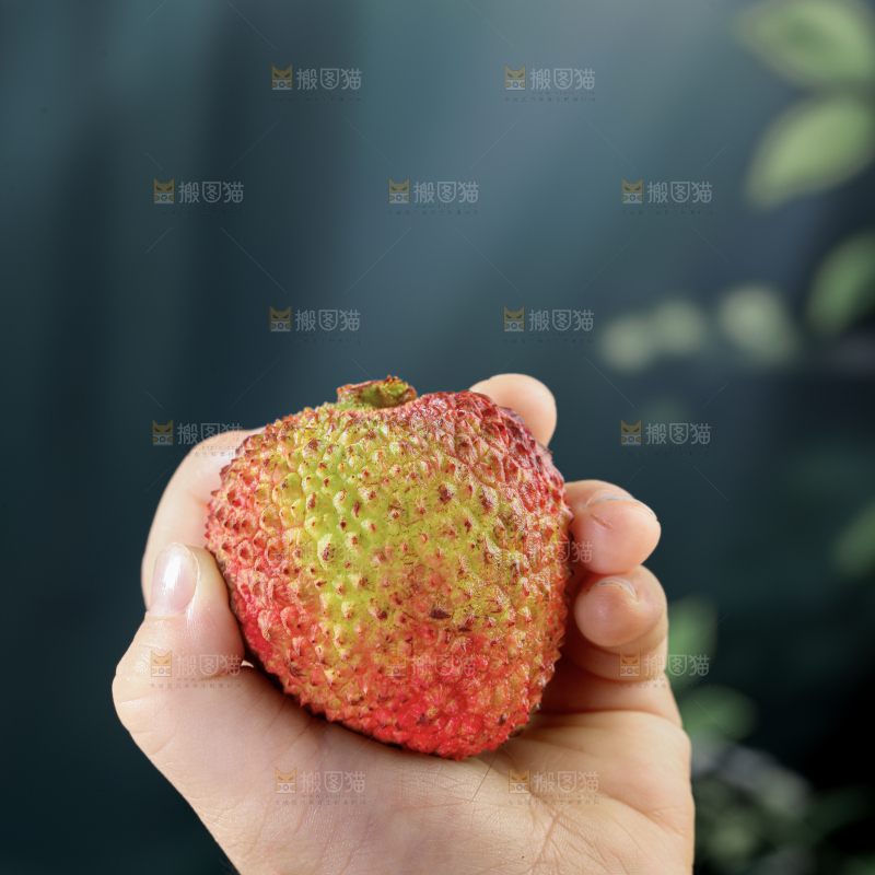妃子笑荔枝