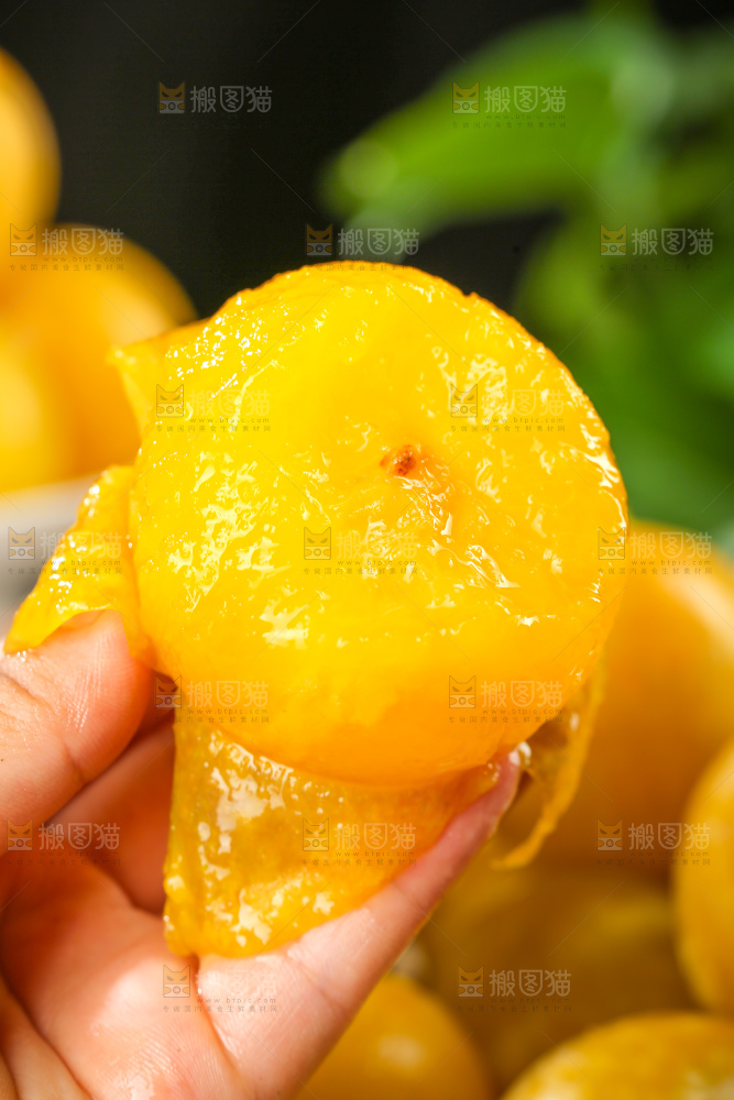 桃花李