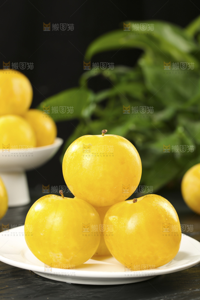 桃花李
