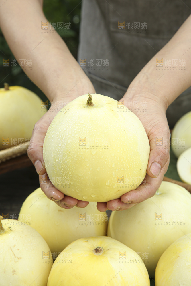 小蜜蜂甜瓜