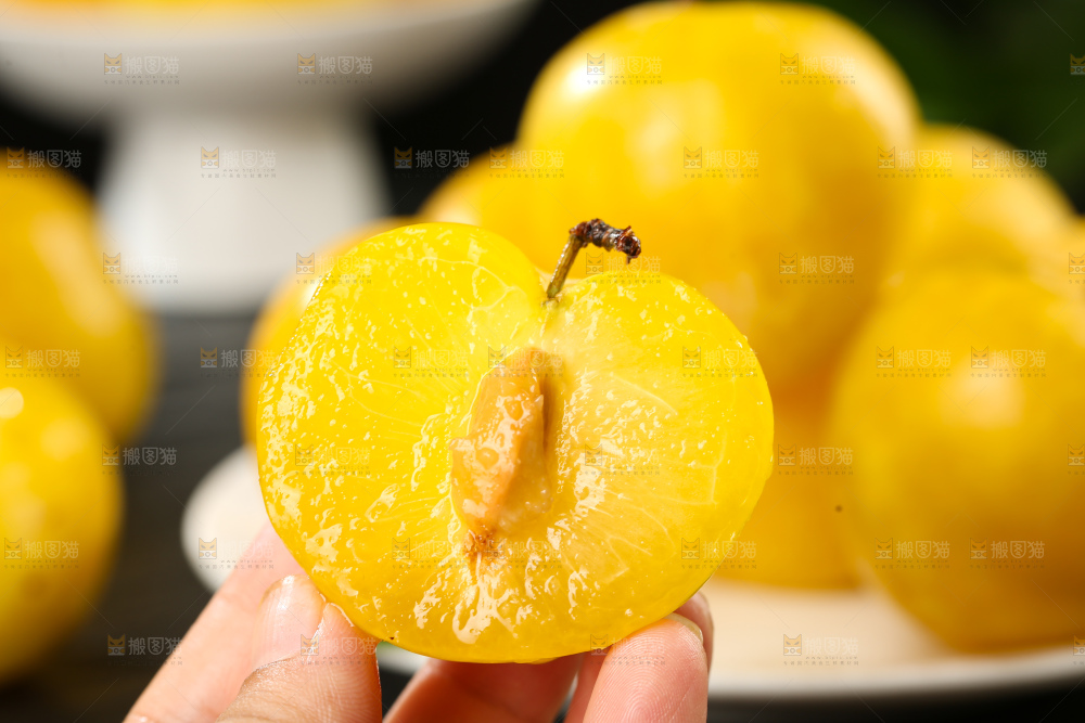 桃花李