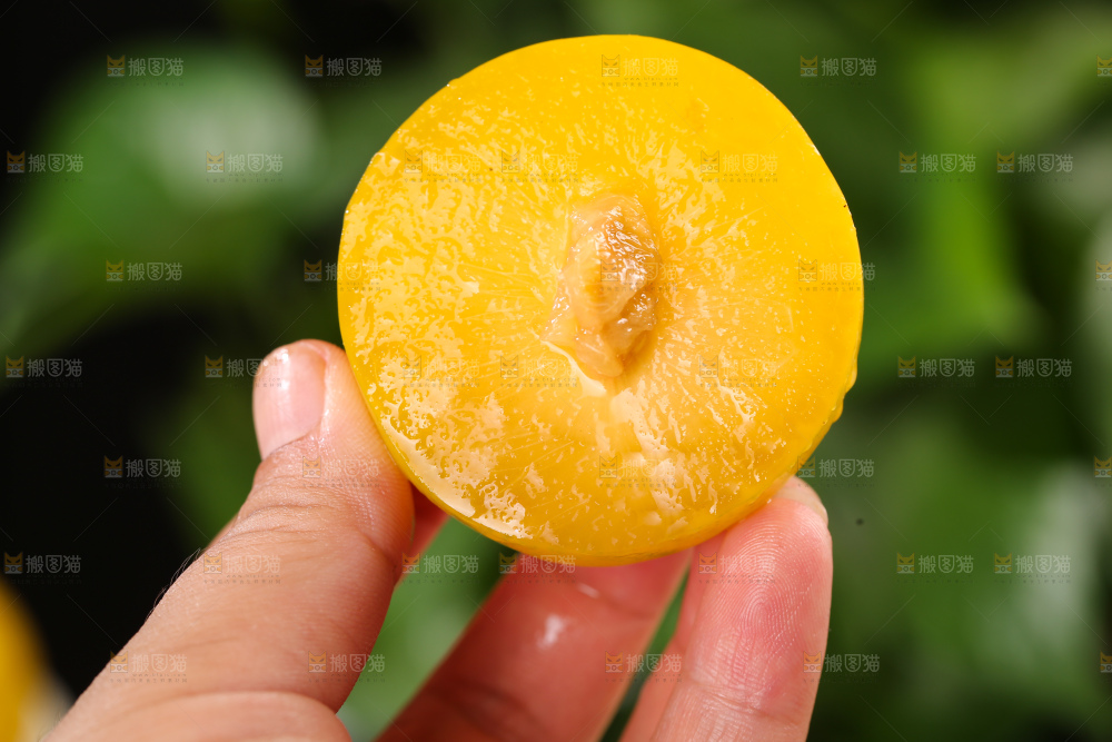 桃花李