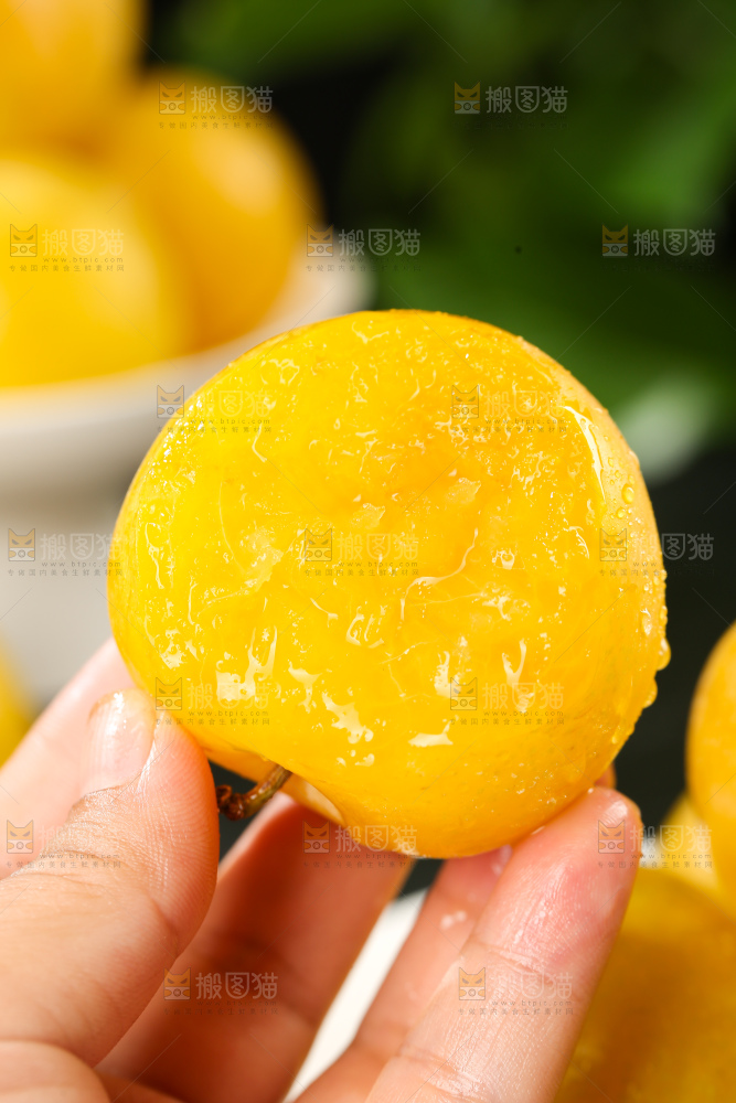 桃花李