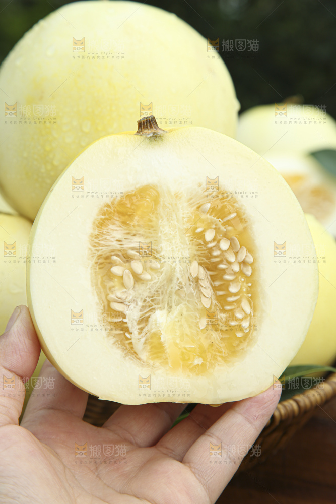 小蜜蜂甜瓜