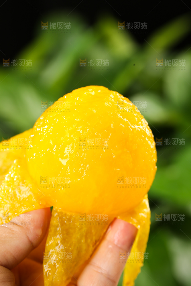桃花李