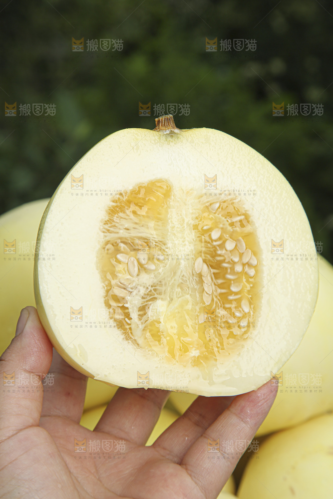 小蜜蜂甜瓜