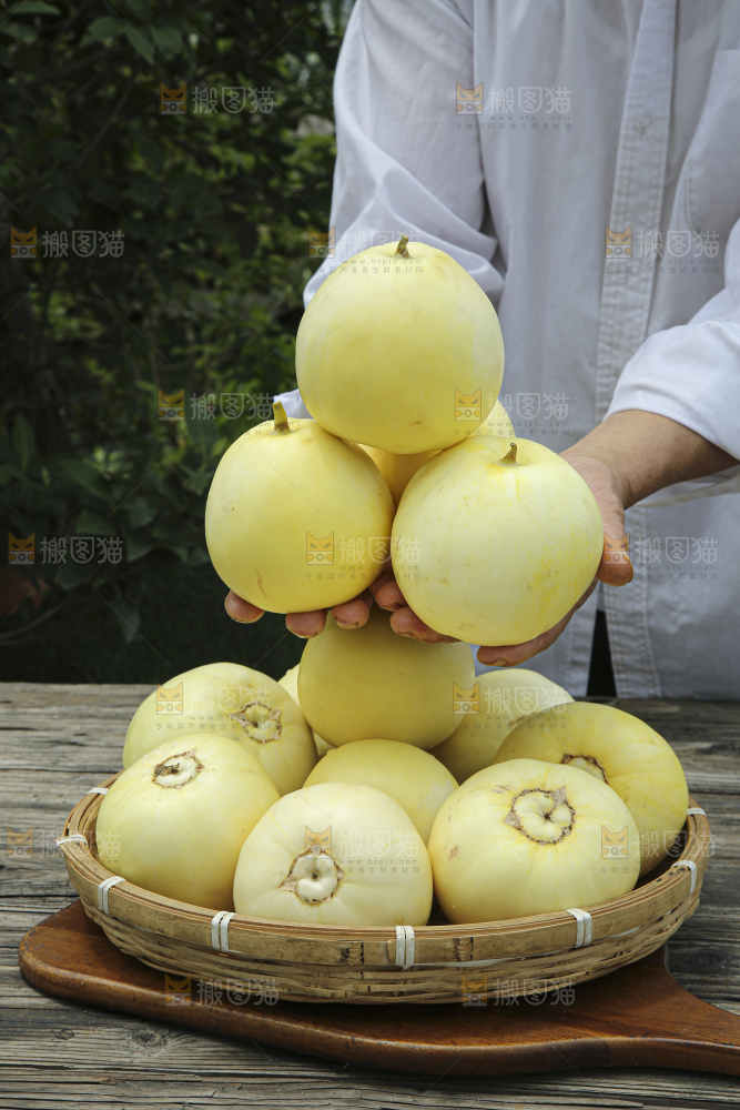 小蜜蜂甜瓜