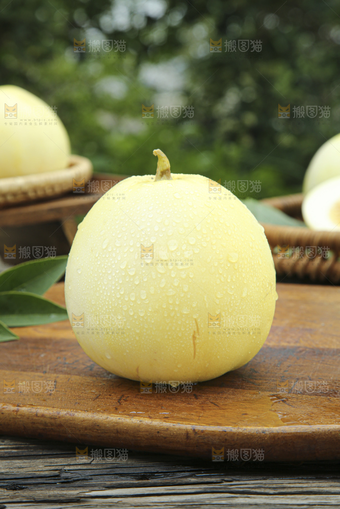 小蜜蜂甜瓜
