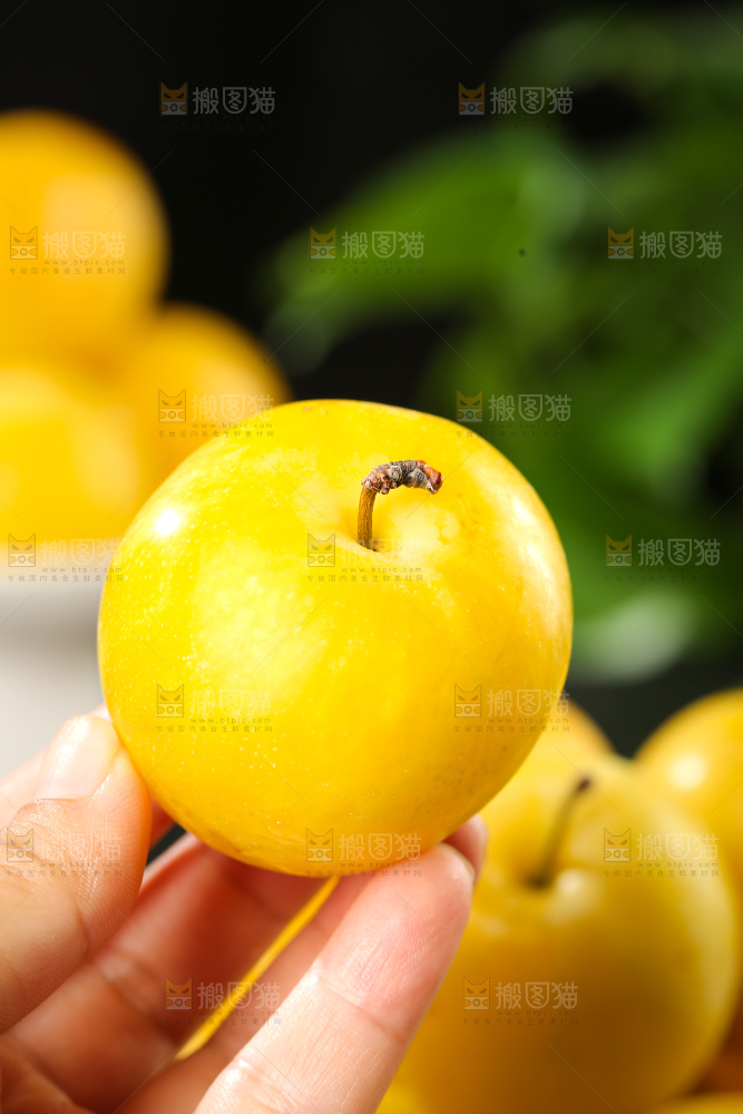 桃花李