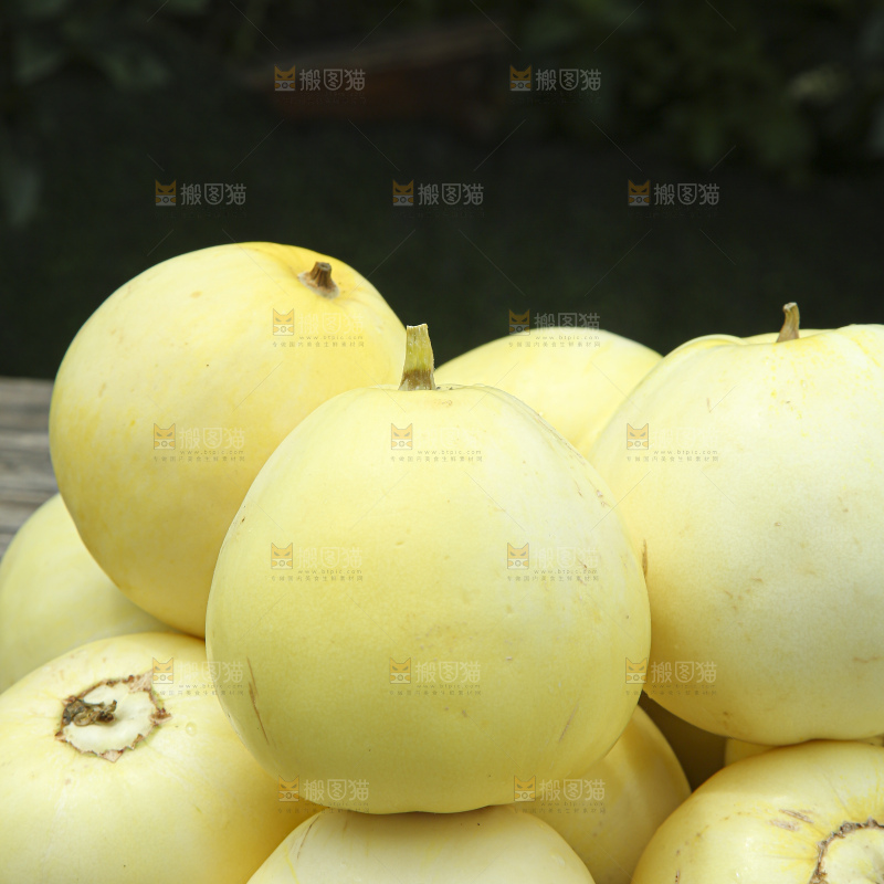 小蜜蜂甜瓜