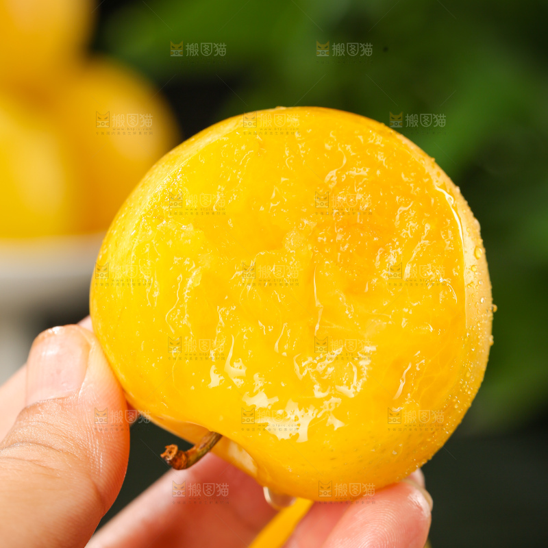 桃花李