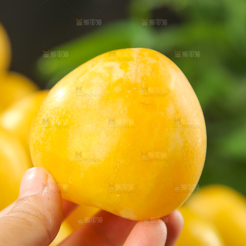 桃花李