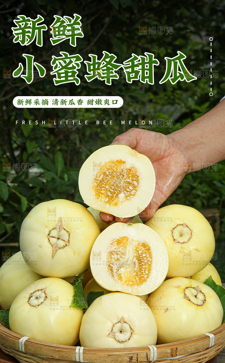 小蜜蜂甜瓜详情页