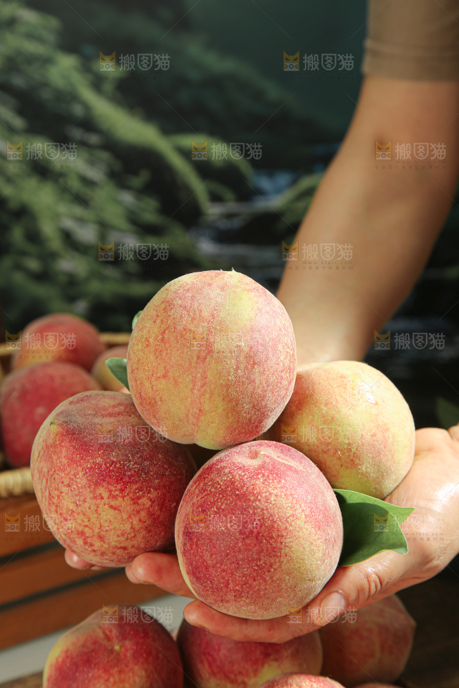 水蜜桃