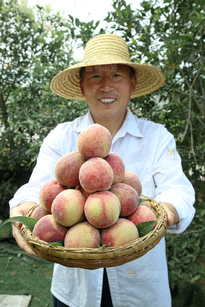 水蜜桃