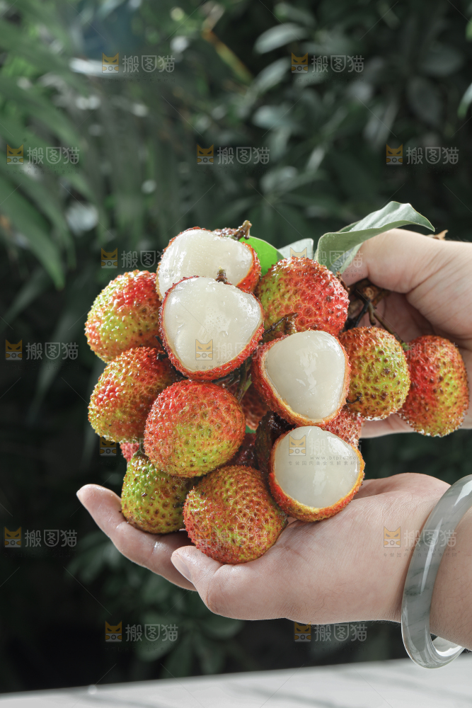 妃子笑荔枝