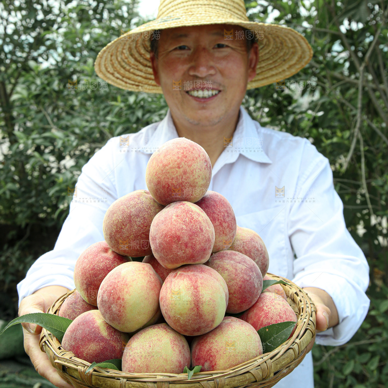 水蜜桃