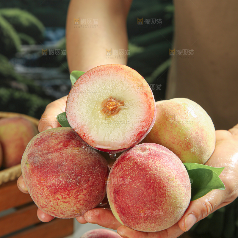 水蜜桃