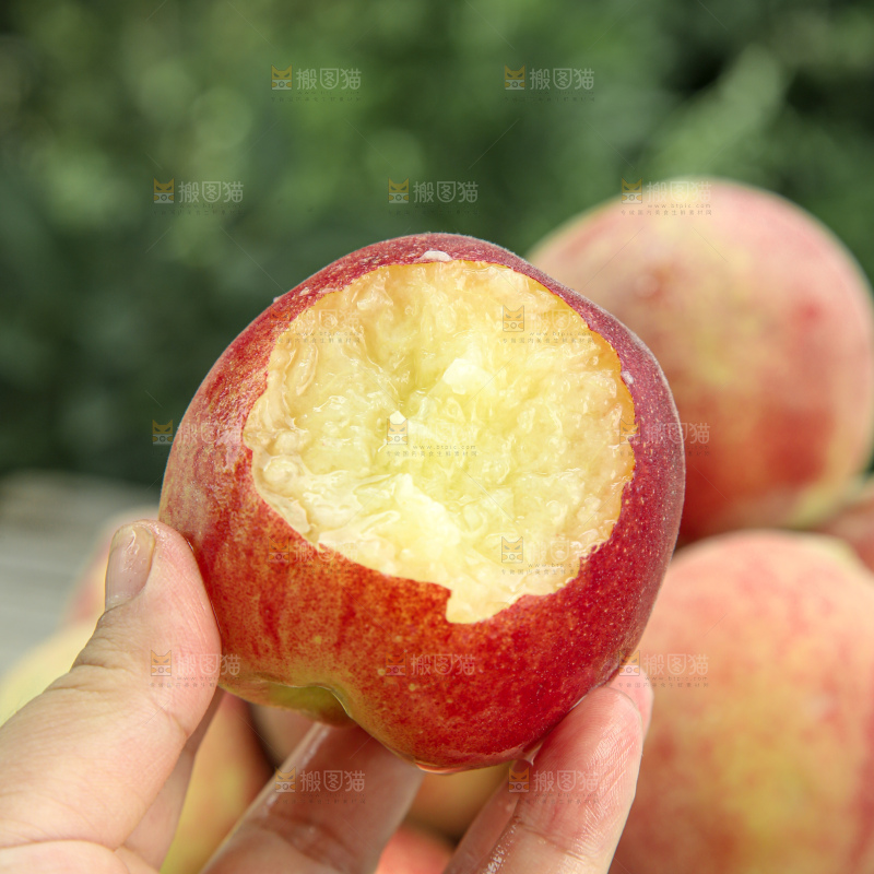水蜜桃