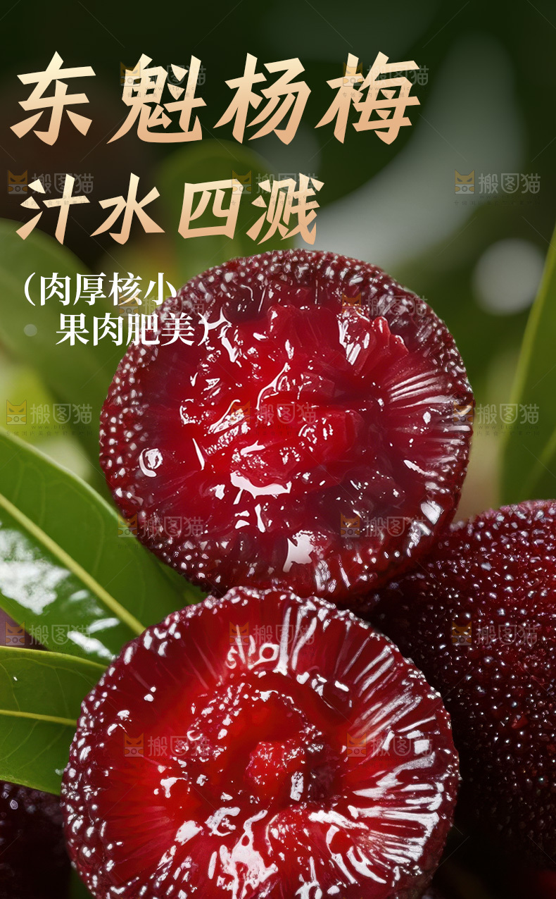 东魁杨梅详情页