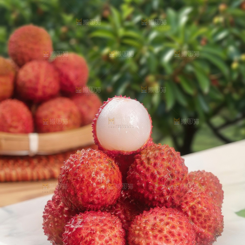 桂味荔枝