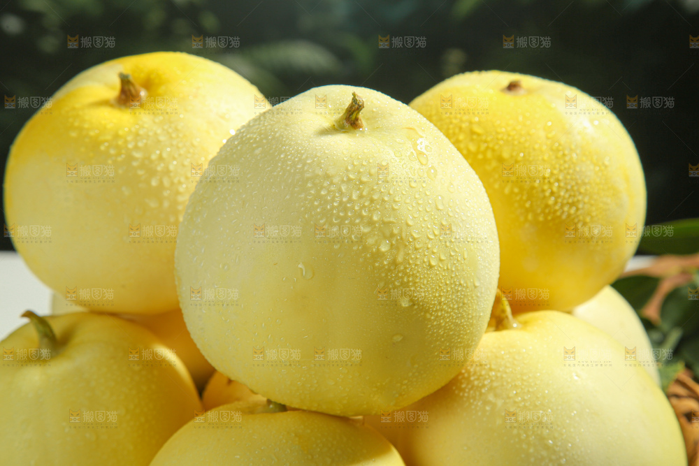 小蜜蜂甜瓜