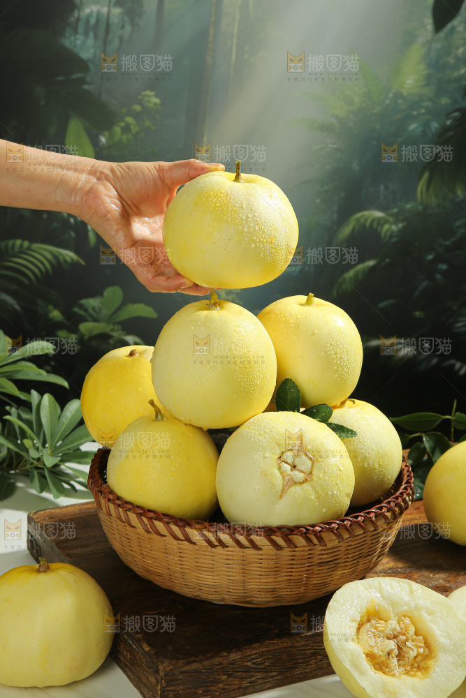 小蜜蜂甜瓜