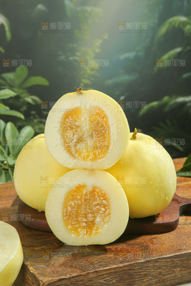 小蜜蜂甜瓜