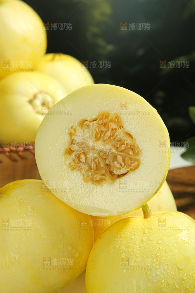 小蜜蜂甜瓜