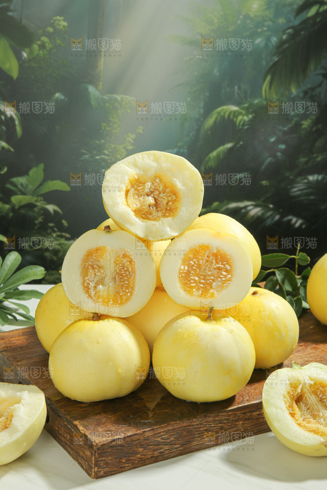 小蜜蜂甜瓜