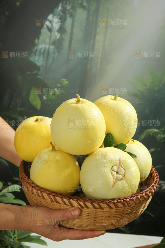 小蜜蜂甜瓜
