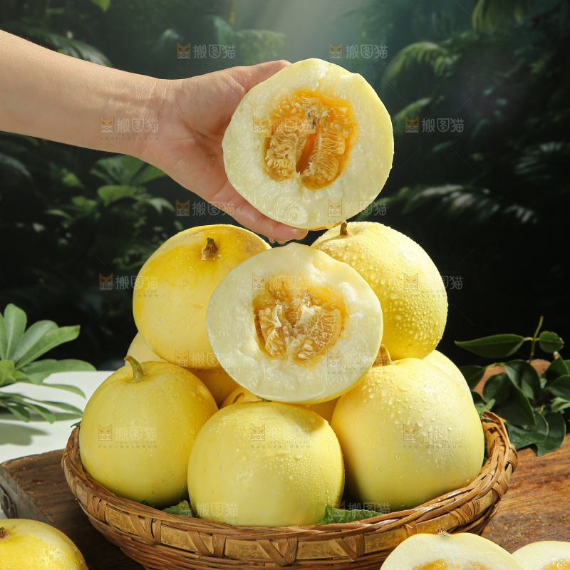 小蜜蜂甜瓜