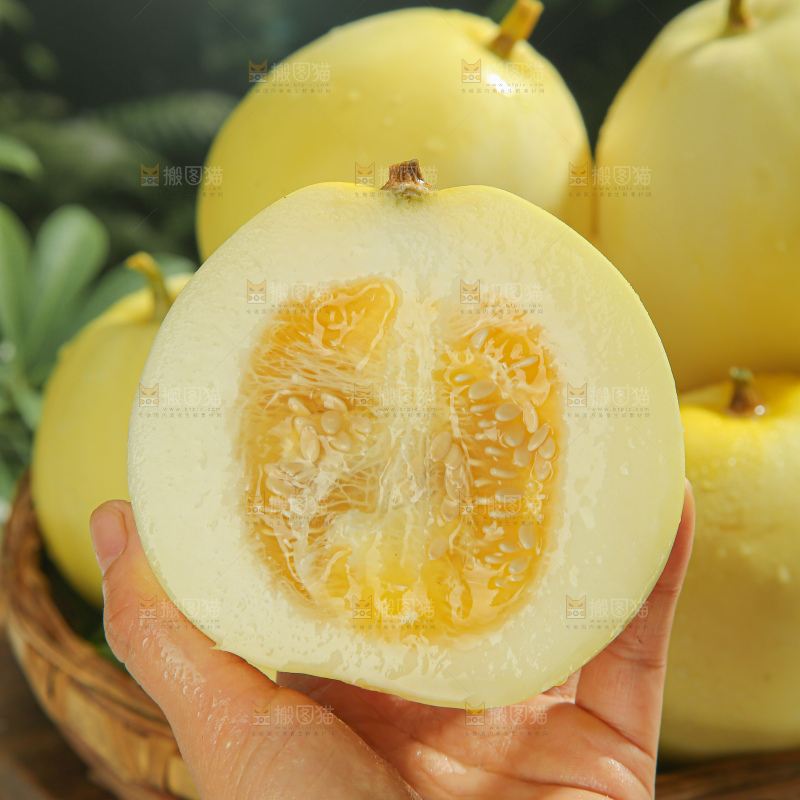 小蜜蜂甜瓜