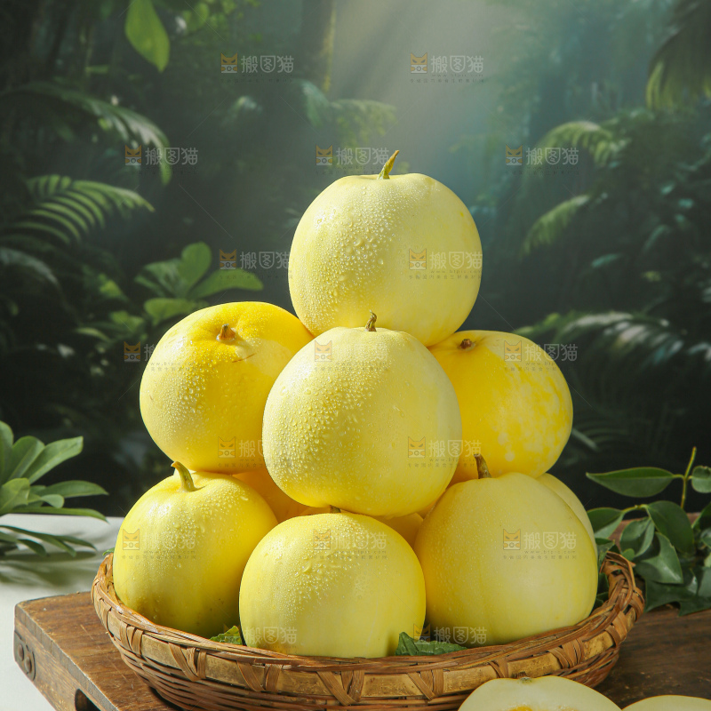 小蜜蜂甜瓜
