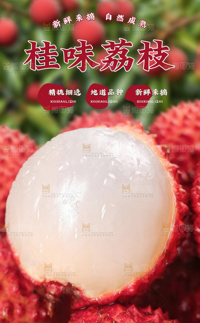 桂味荔枝详情页