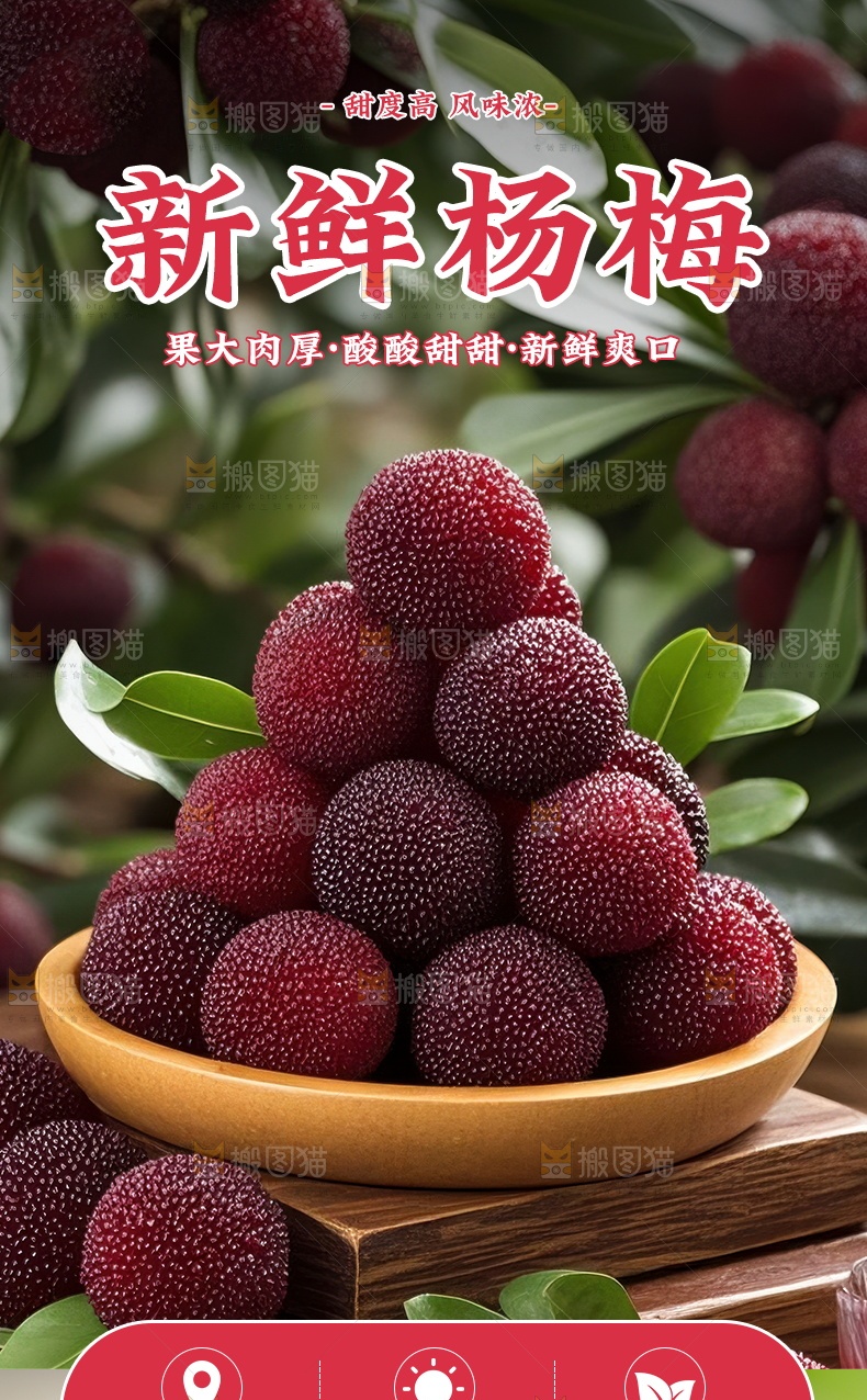 杨梅详情页