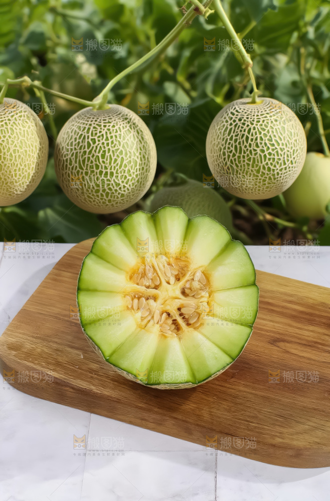 网纹蜜瓜