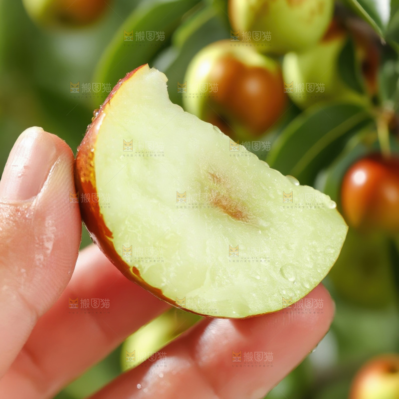 大荔冬枣