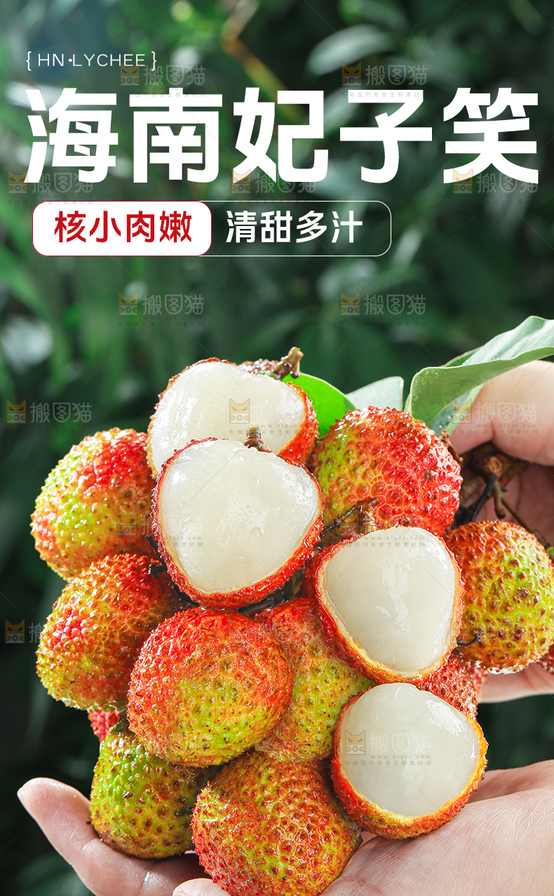 妃子笑荔枝详情页