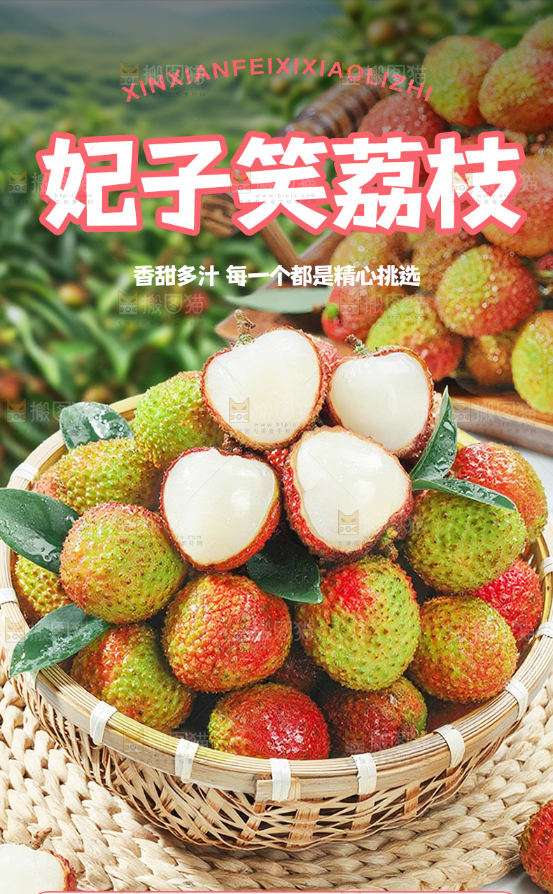 妃子笑荔枝详情页