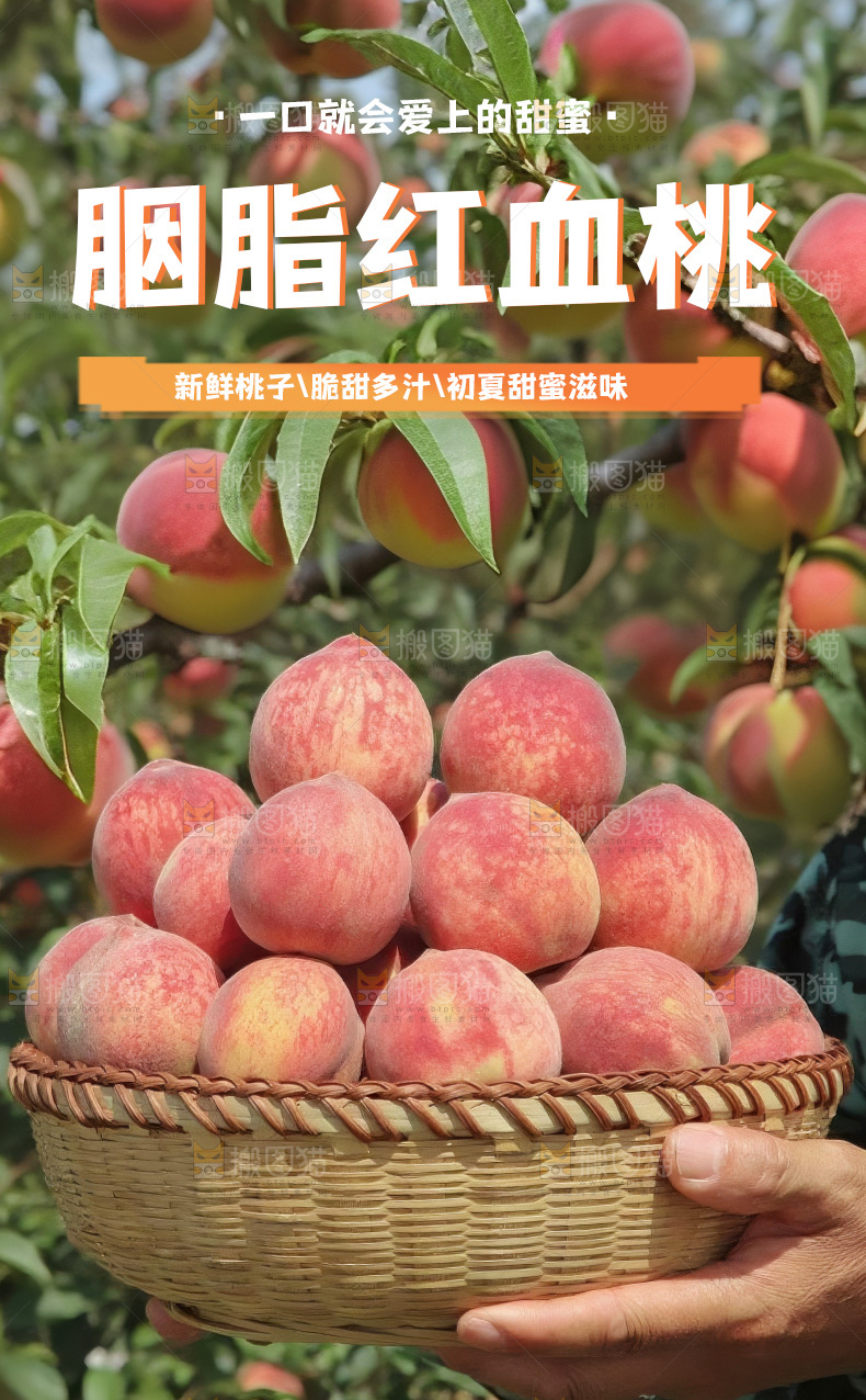 胭脂红详情页