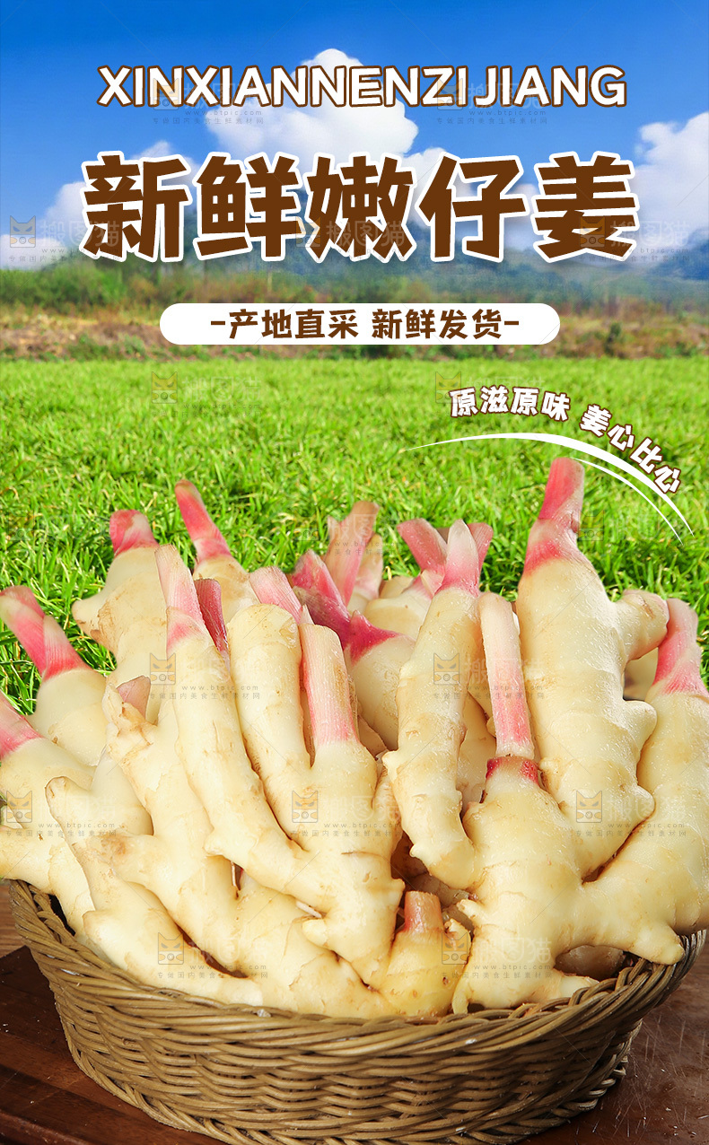 嫩姜详情页